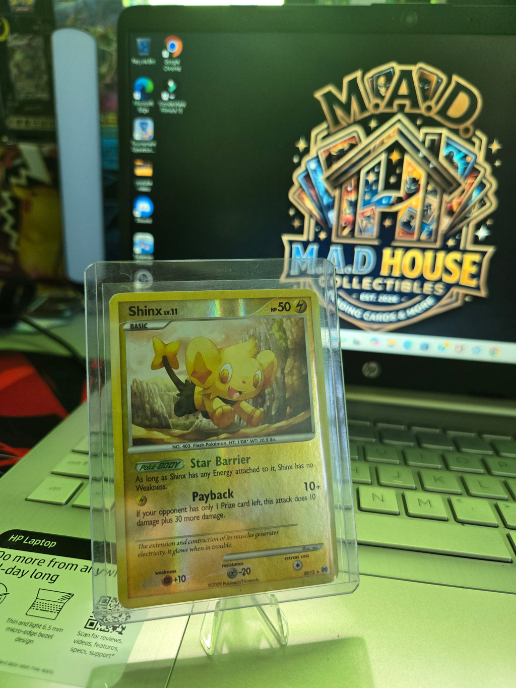Shiny shinx sh12